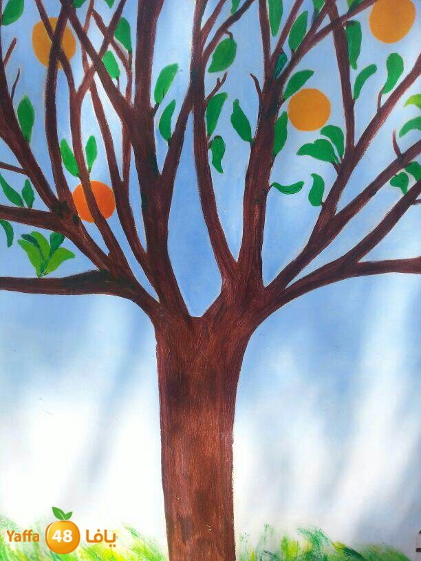 yaffa orangej (3).jpg